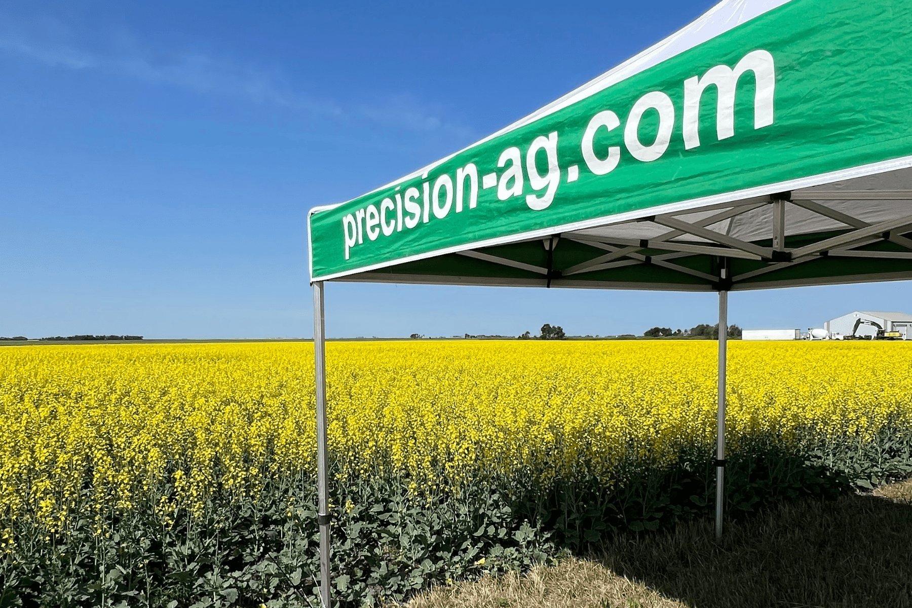 Precision Ag tent set up at a crop tour. A beautiful flowering Canterra canola group is glowing against a blue summer sky in Saskatchewan.